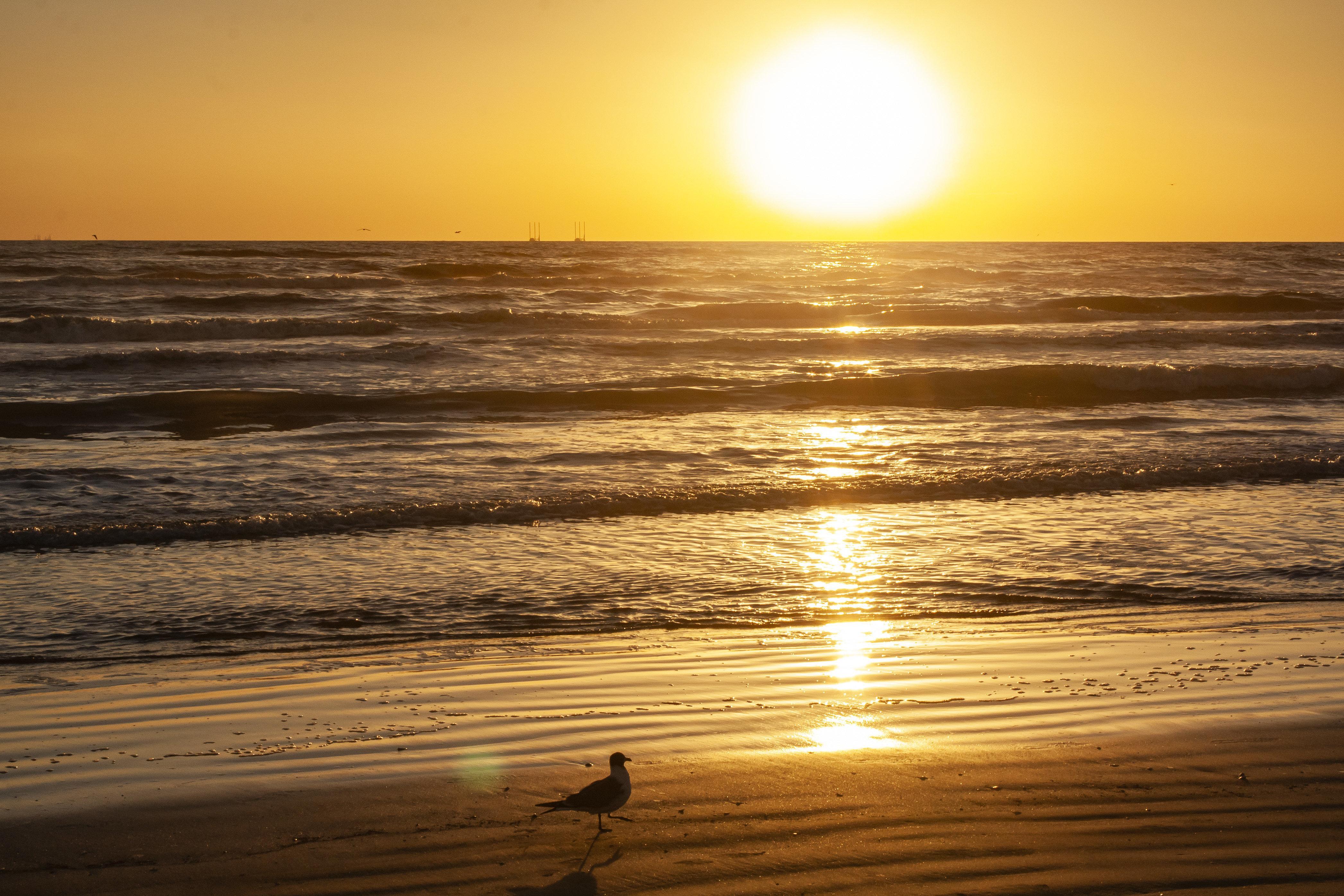 Holiday Inn Resort South Padre Island-Beach Front, An Ihg Hotel Exterior photo